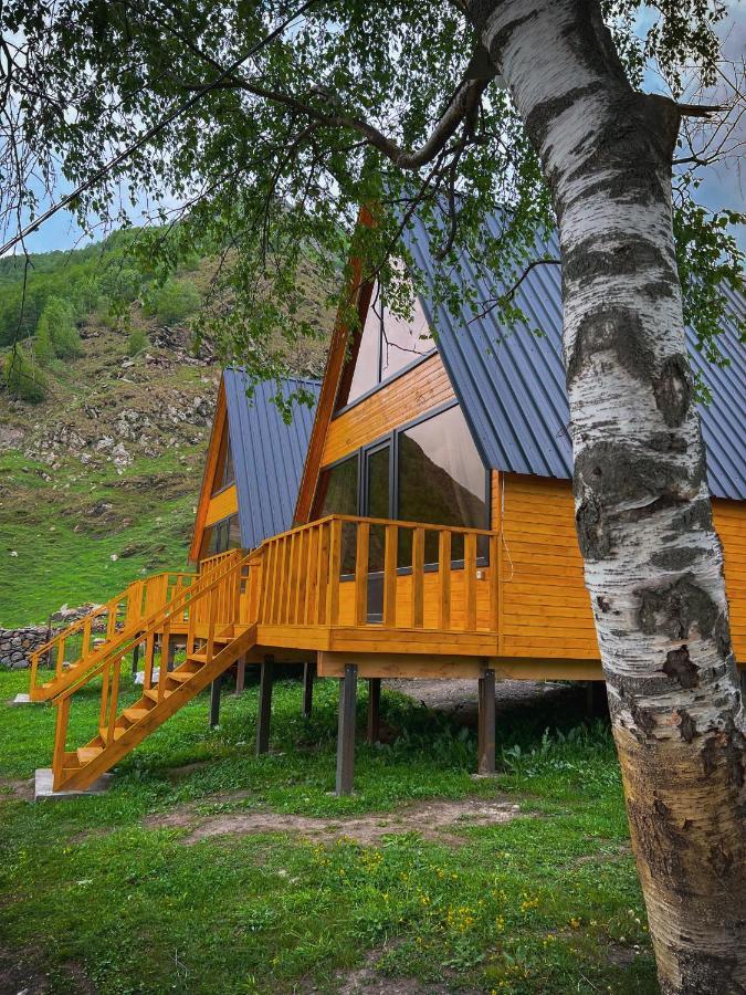 Pine Chalet Kazbegi ภายนอก รูปภาพ