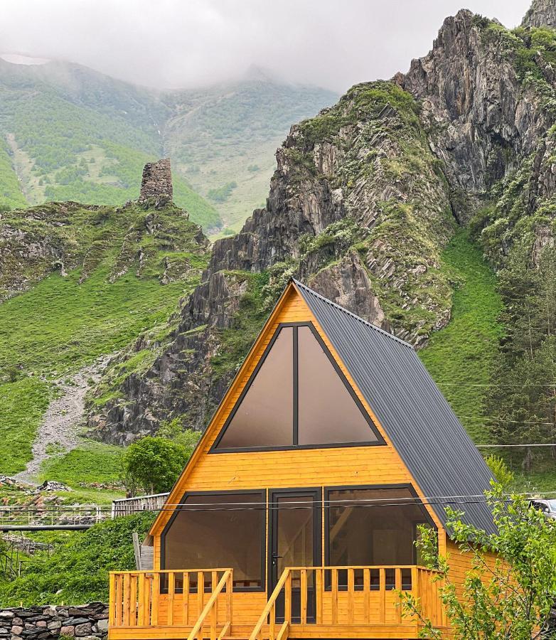 Pine Chalet Kazbegi ภายนอก รูปภาพ