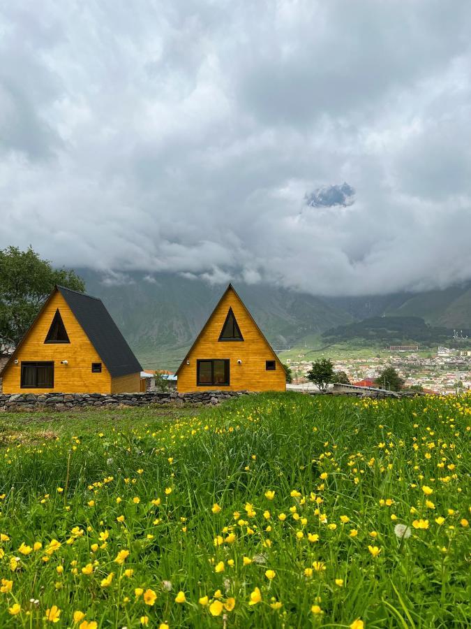 Pine Chalet Kazbegi ภายนอก รูปภาพ