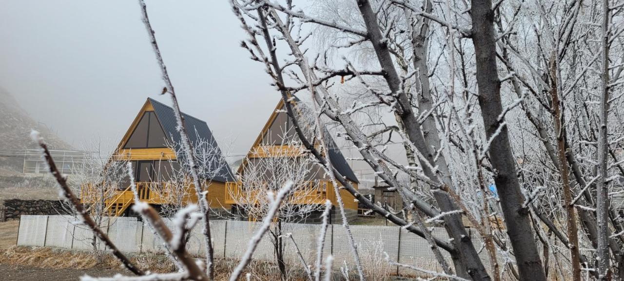 Pine Chalet Kazbegi ภายนอก รูปภาพ
