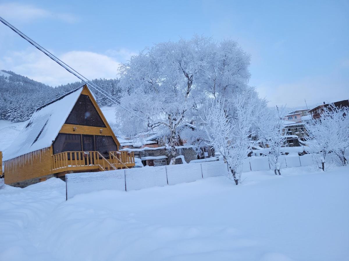 Pine Chalet Kazbegi ภายนอก รูปภาพ