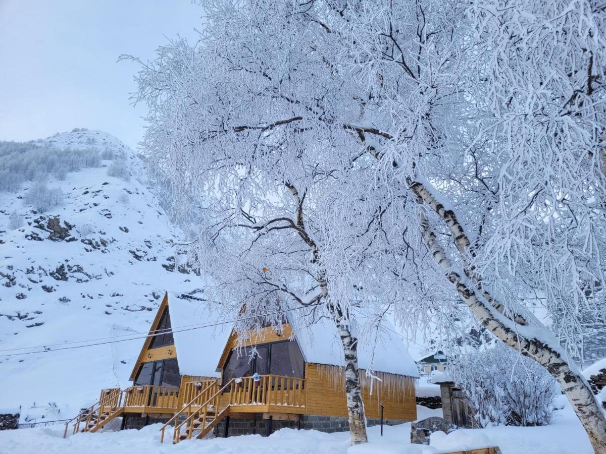 Pine Chalet Kazbegi ภายนอก รูปภาพ