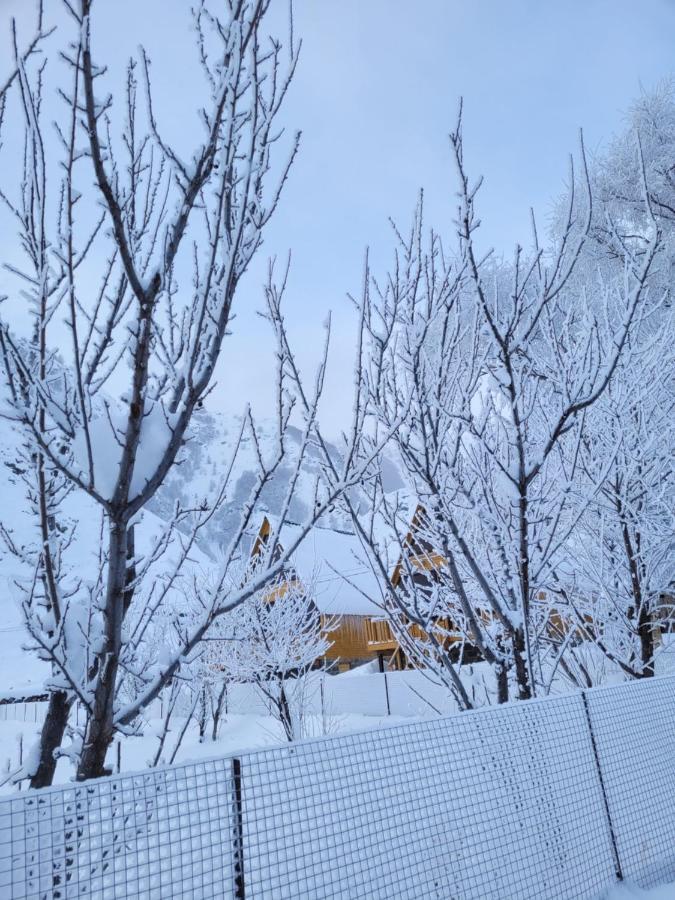 Pine Chalet Kazbegi ภายนอก รูปภาพ