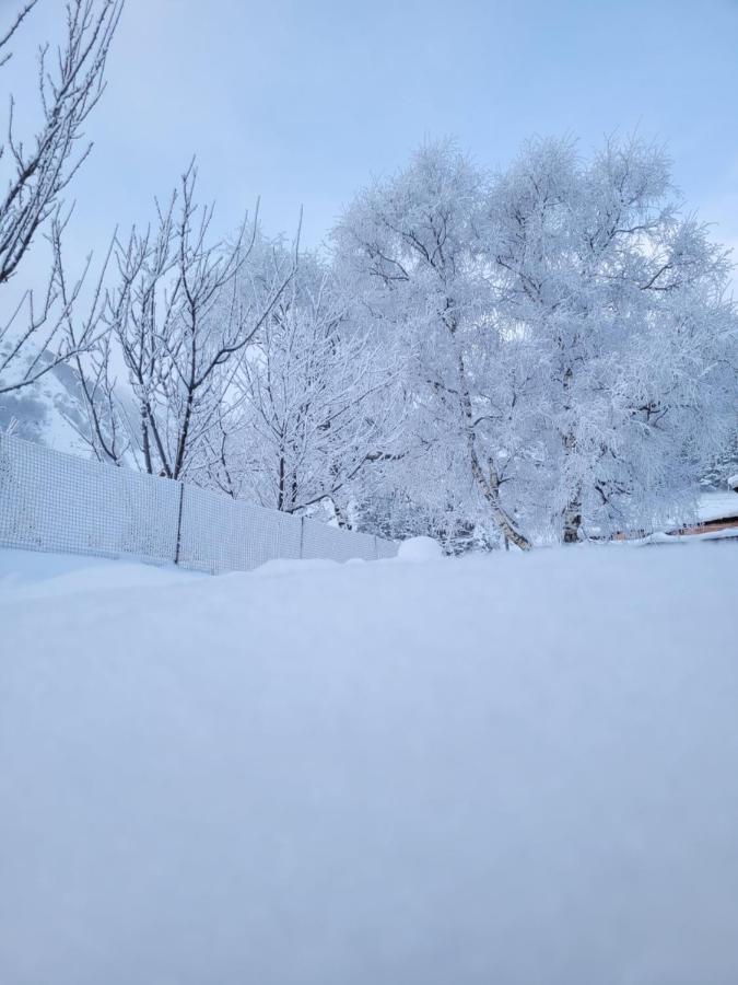 Pine Chalet Kazbegi ภายนอก รูปภาพ