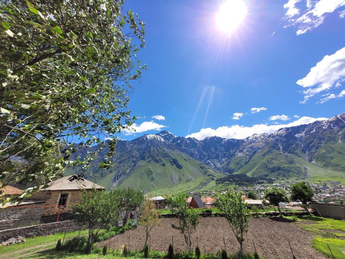 Pine Chalet Kazbegi ภายนอก รูปภาพ